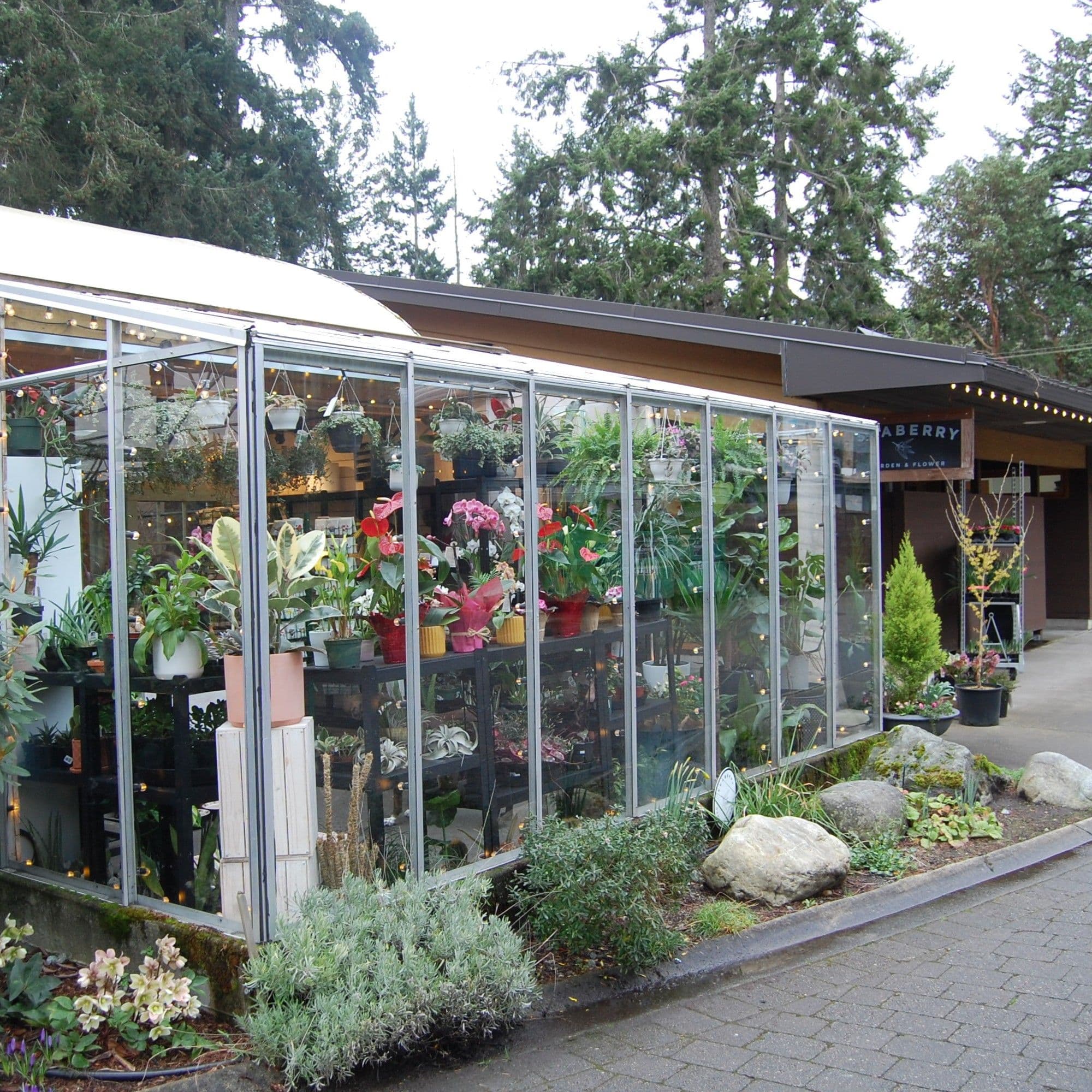 Greenhouse exterior surrounded by tall conifers and seasonal plantings