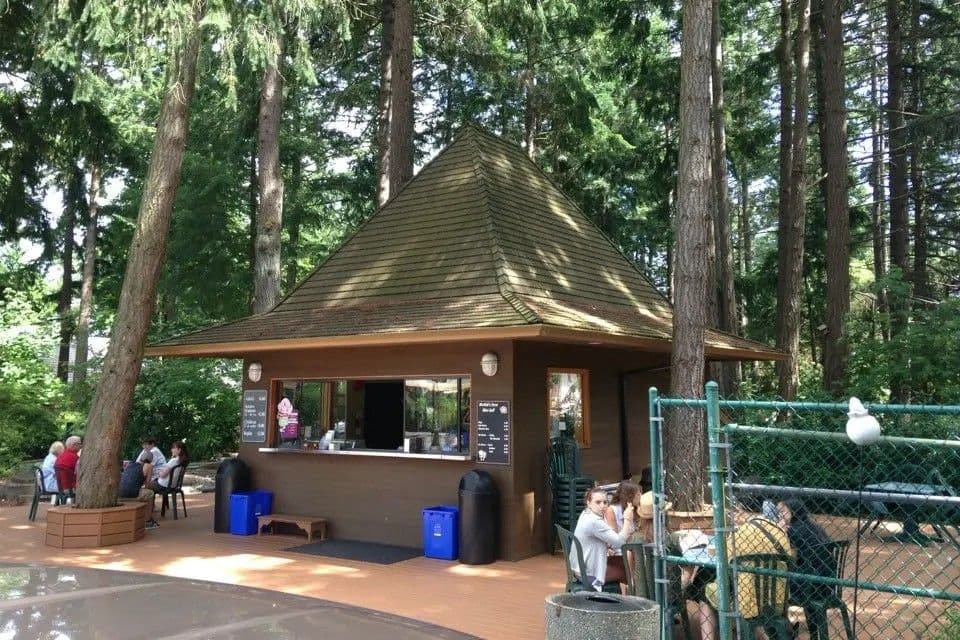 Pavilion concession with guests at picnic tables nestled among tall evergreens