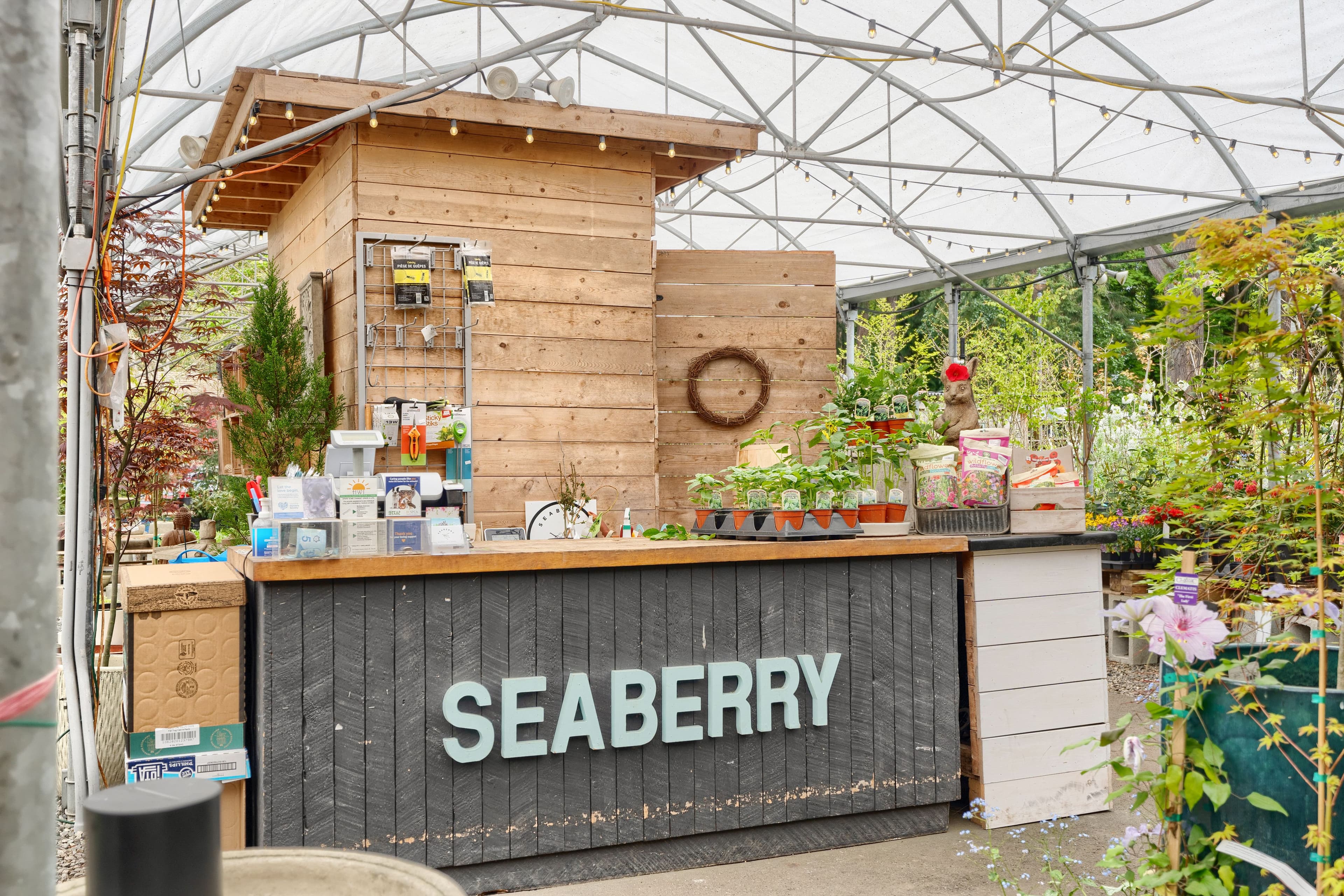 Seaberry wordmark on the counter with the small workshop building beyond
