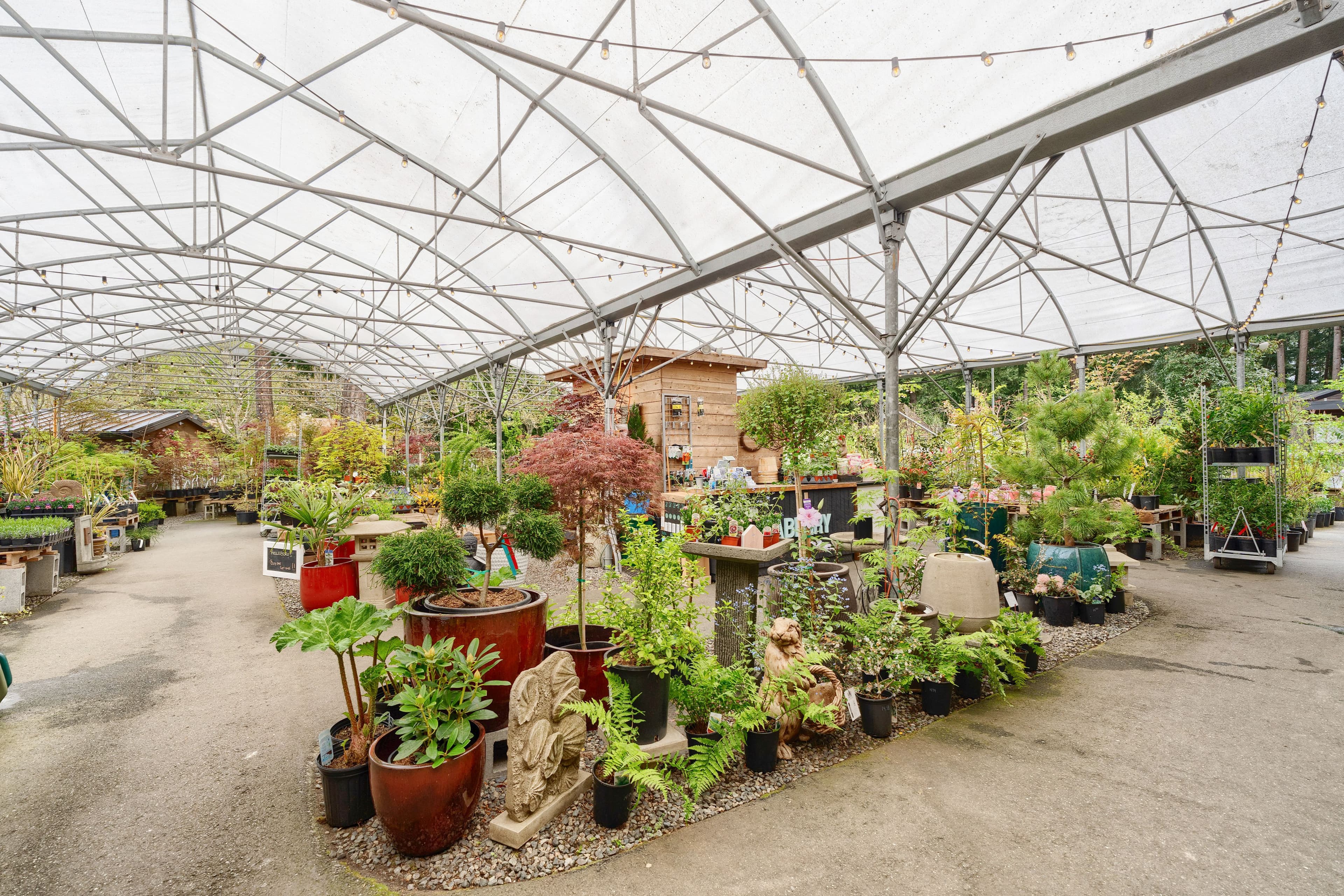 Wide view of the greenhouse interior under the white arched roof
